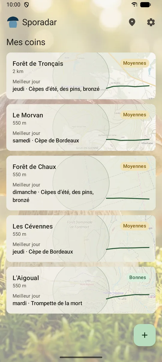 Mes coins dans Sporadar : chaque coin avec sa chance du jour, son meilleur jour et sa courbe, sur la photo d’un cèpe