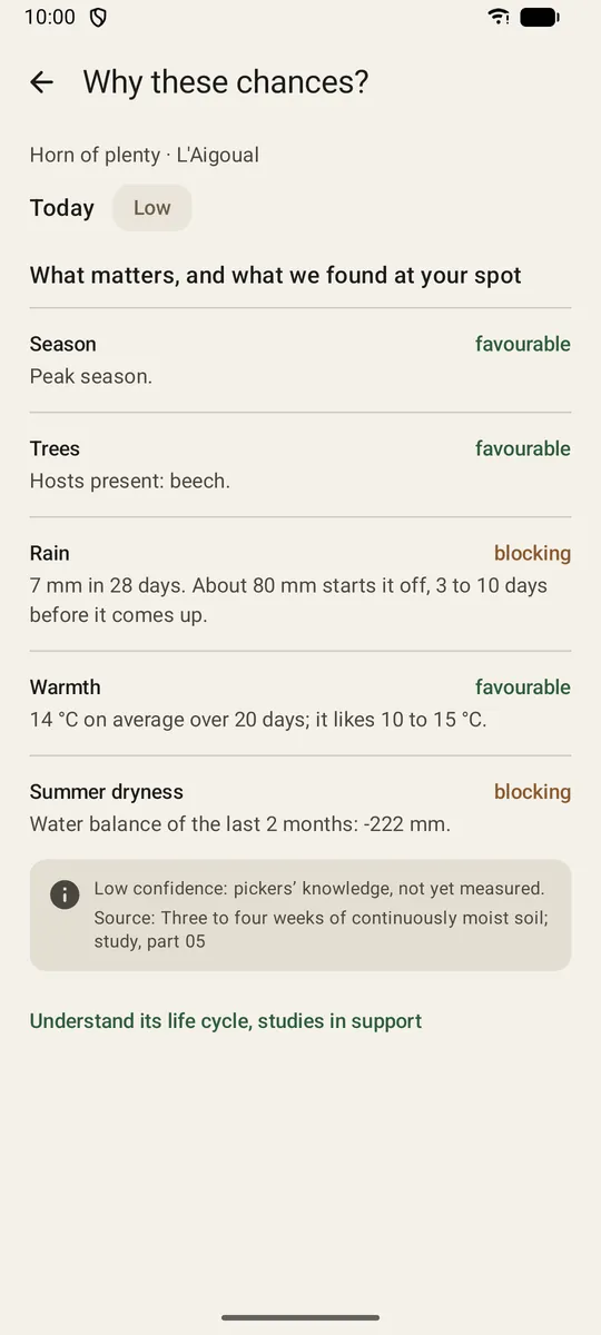 Why these chances? in Sporadar: for the horn of plenty at L’Aigoual, season, trees and warmth are favourable, but rain and dryness are blocking, with how certain the knowledge is